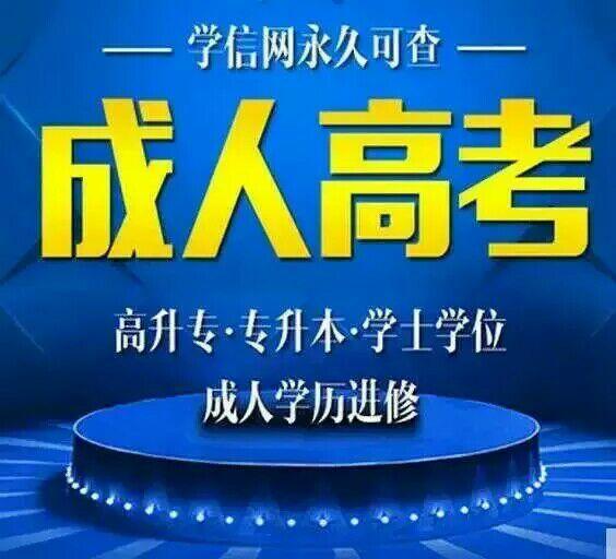 成人高考學歷怎么在學信網(wǎng)查詢？