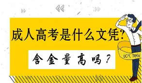 2021年成人高考哪些專業(yè)對口公務(wù)員考試呢？